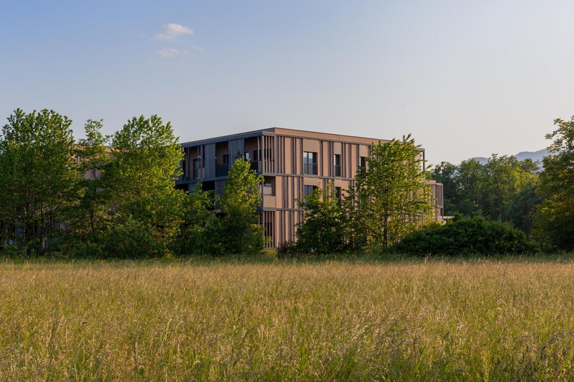 The Nest Apartment Bled Centre Εξωτερικό φωτογραφία