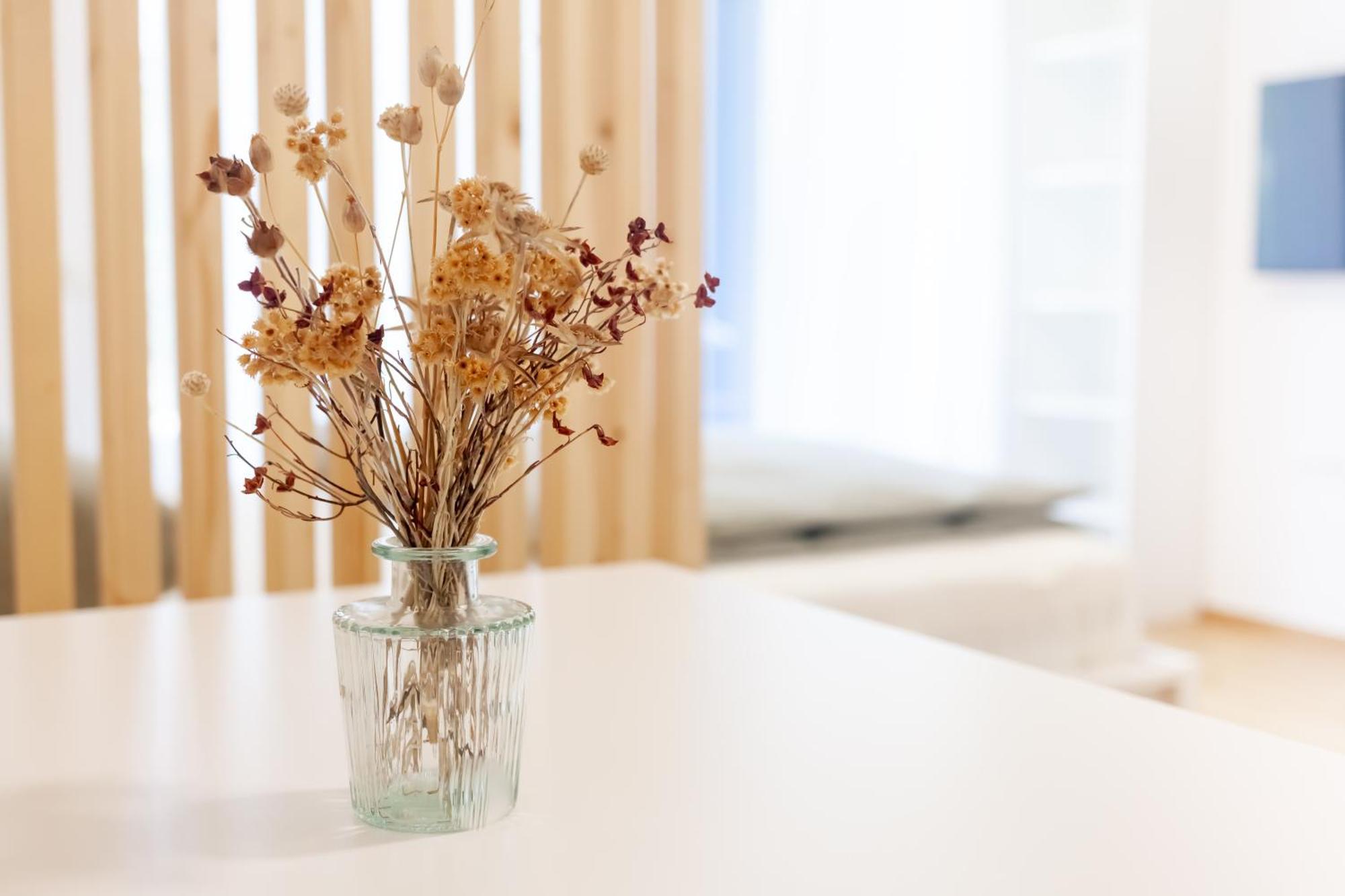 The Nest Apartment Bled Centre Εξωτερικό φωτογραφία